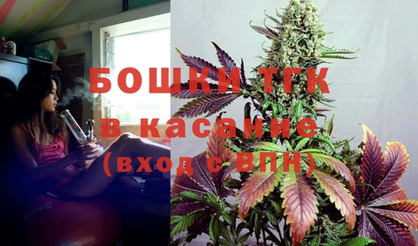 крисы Липки