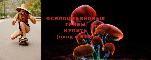 крисы Липки