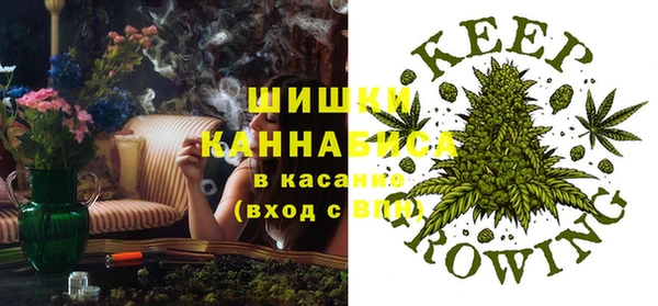 индика Лиски