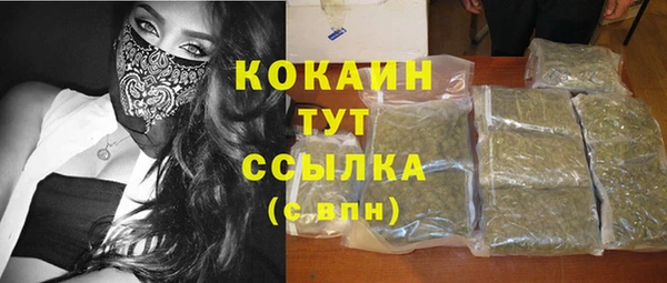 индика Лиски