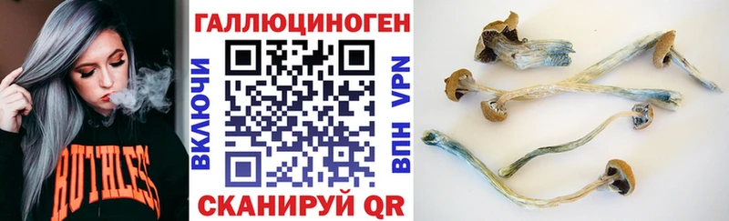 Псилоцибиновые грибы ЛСД  Наволоки 